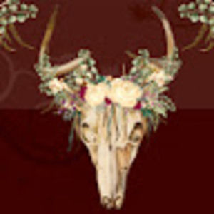 Meet your Posher, Olga